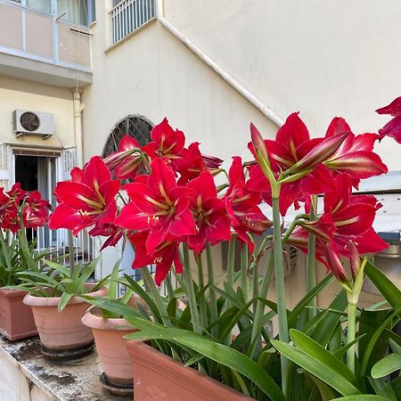 Il Giglio Rosso Apartment เนเปิลส์ ภายนอก รูปภาพ